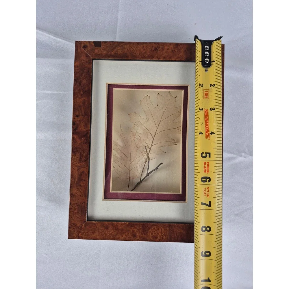Vintage Skeleton Leaf Art Burl Wood Look Frame Booker Morey 1994 Decor Oak Tree